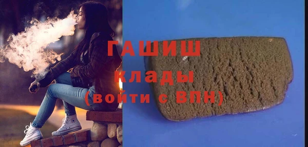 сатива Новозыбков