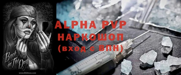 шишки Новокубанск