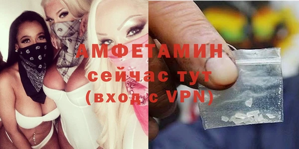 крисы Новодвинск