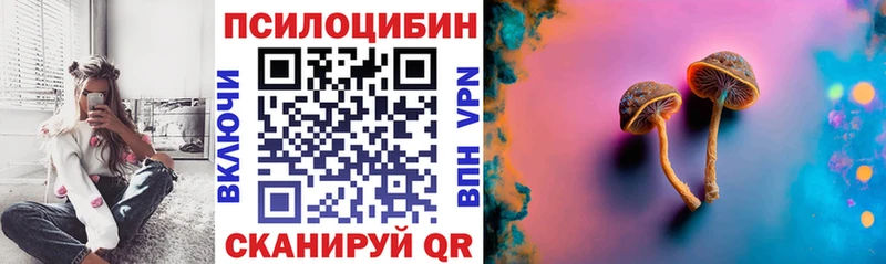 Псилоцибиновые грибы GOLDEN TEACHER  сайты даркнета наркотические препараты  Анапа 